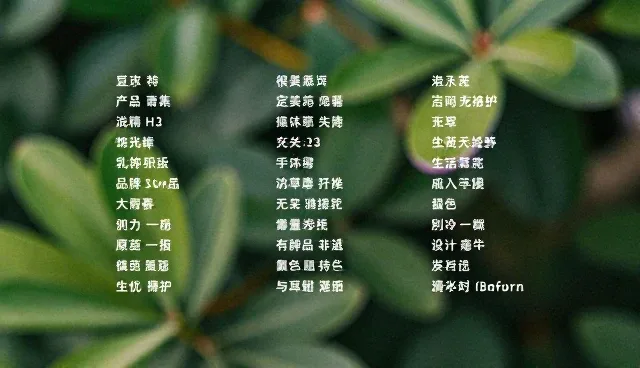 宣传方案提示词如何影响宣传效果