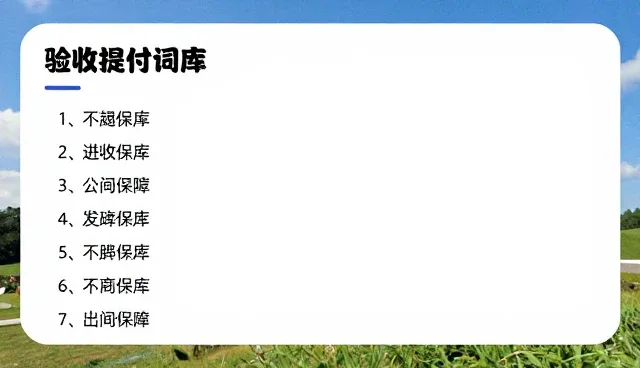 AI视频生成中propulsion词性转换的检查要点