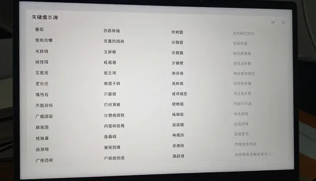 提示词调试中的多平台适配支持要点解析